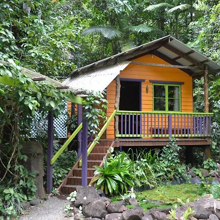 Rainforest Hideaway Кейп-Трибьюлейшн Экстерьер фото