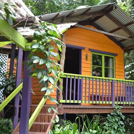 Rainforest Hideaway Кейп-Трибьюлейшн Экстерьер фото