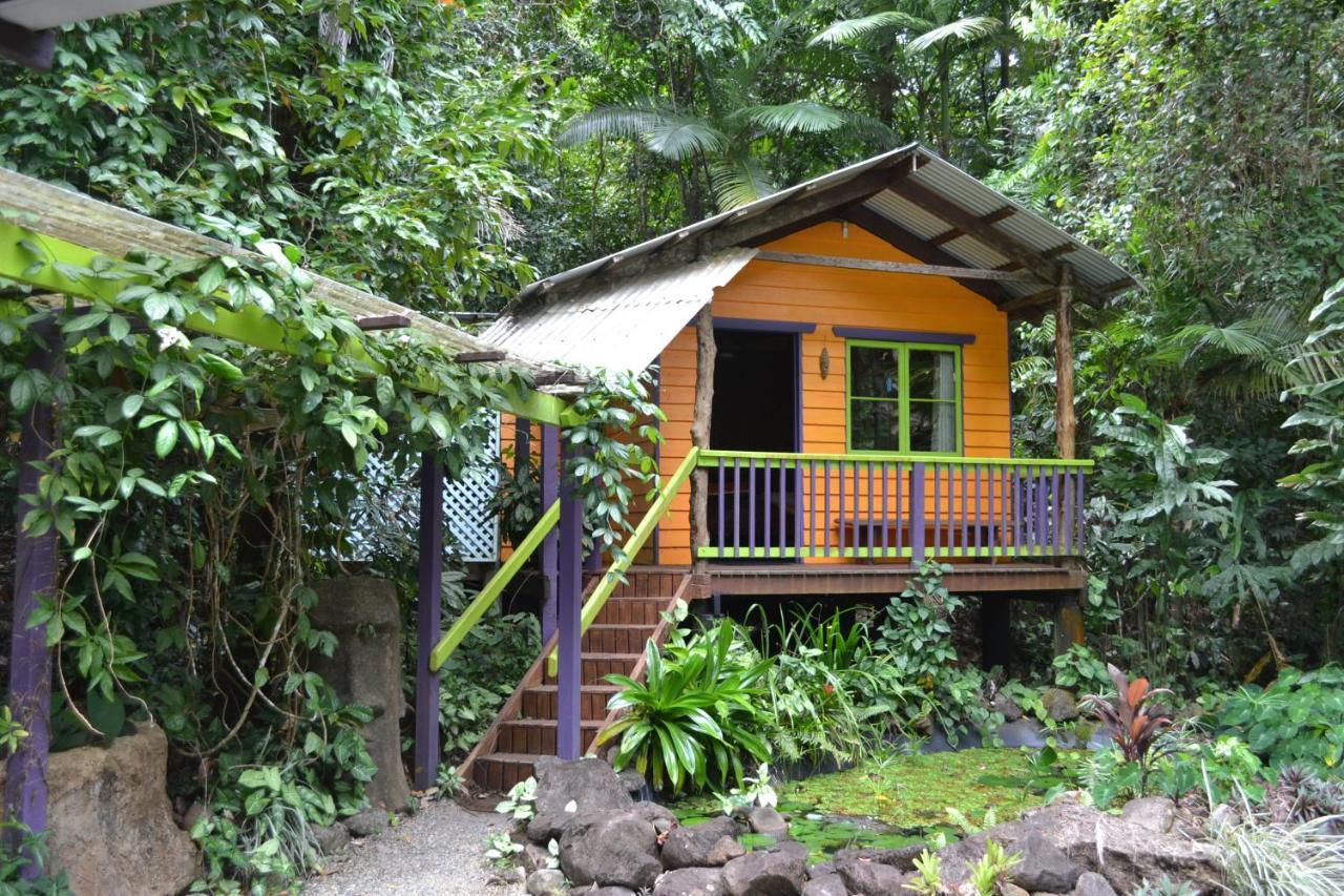 Rainforest Hideaway Кейп-Трибьюлейшн Экстерьер фото