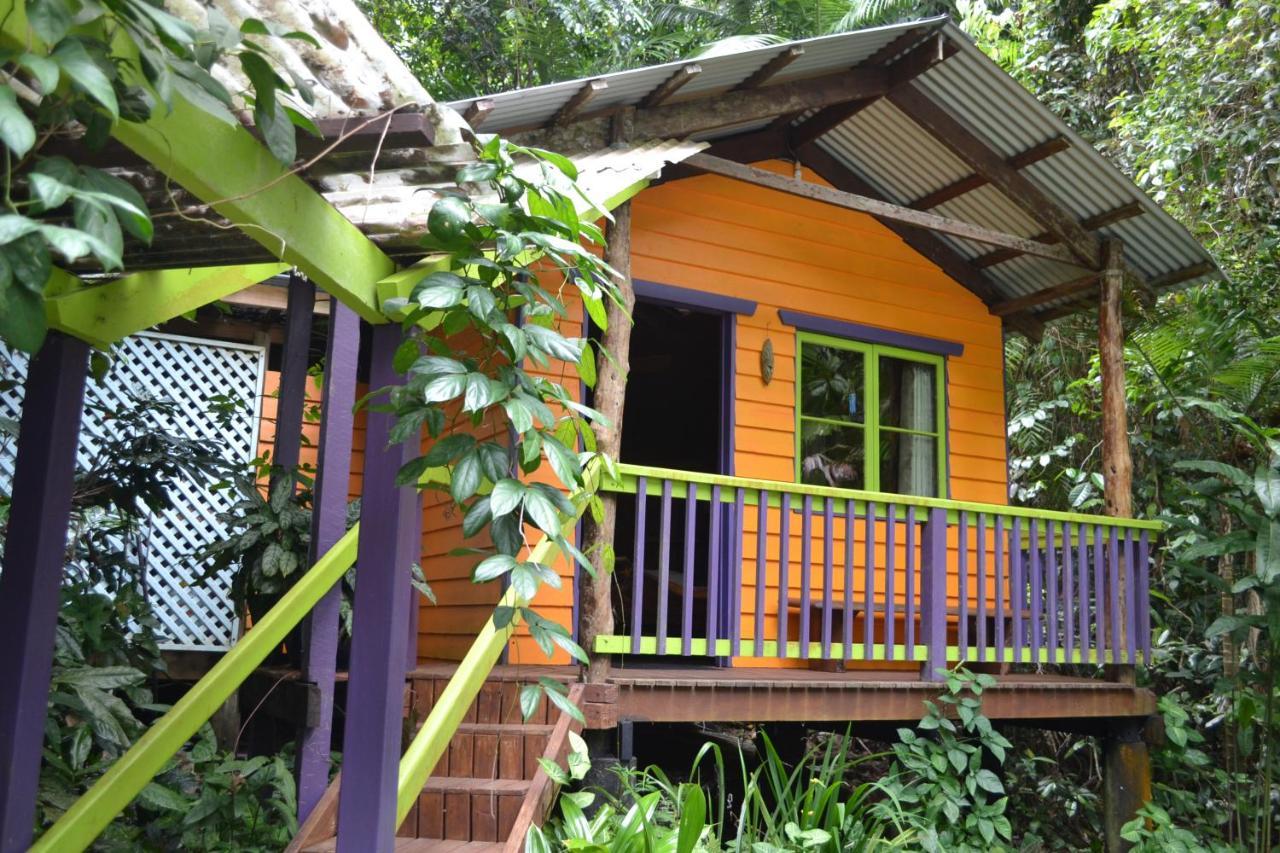 Rainforest Hideaway Кейп-Трибьюлейшн Экстерьер фото