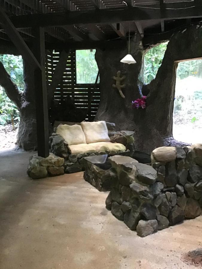 Rainforest Hideaway Кейп-Трибьюлейшн Экстерьер фото