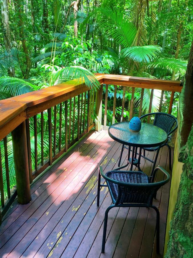 Rainforest Hideaway Кейп-Трибьюлейшн Экстерьер фото
