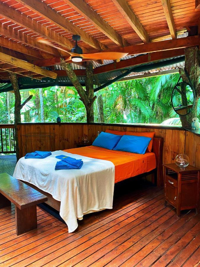 Rainforest Hideaway Кейп-Трибьюлейшн Экстерьер фото