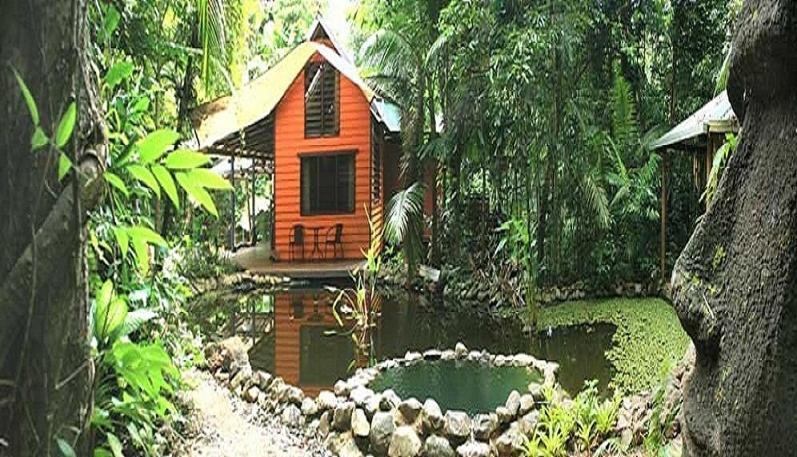 Rainforest Hideaway Кейп-Трибьюлейшн Номер фото