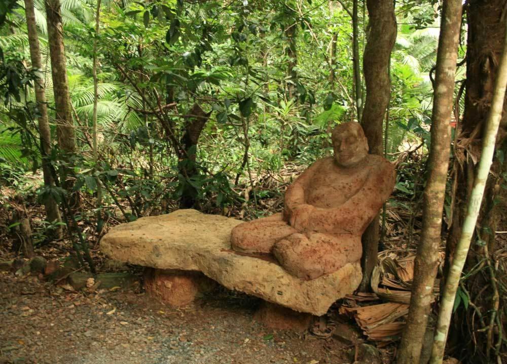 Rainforest Hideaway Кейп-Трибьюлейшн Экстерьер фото