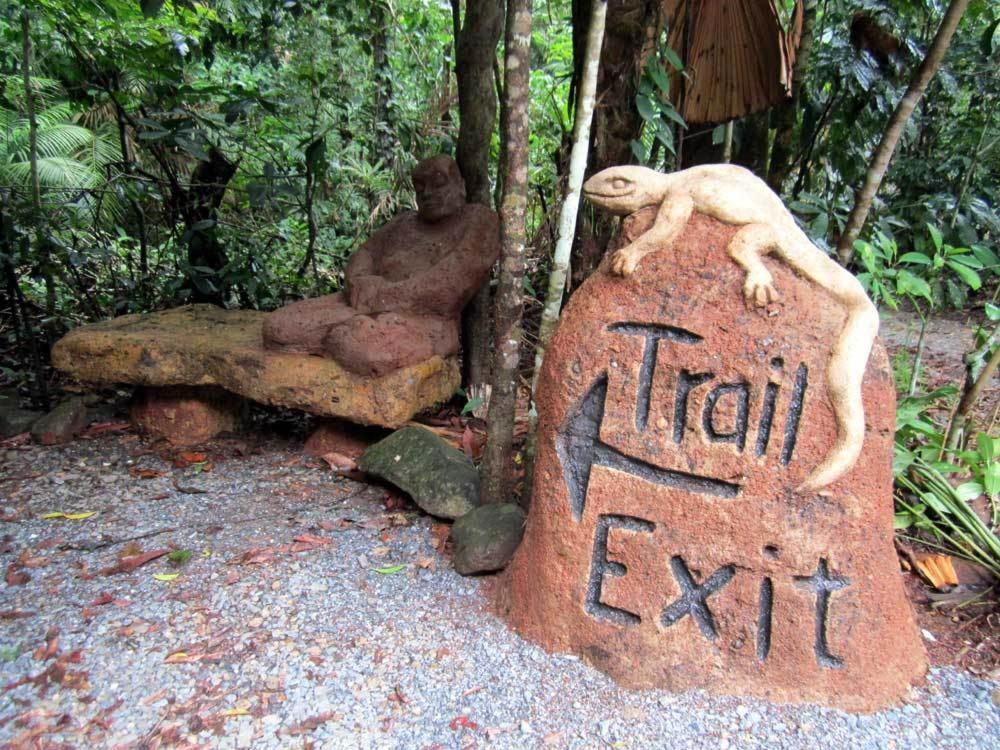 Rainforest Hideaway Кейп-Трибьюлейшн Экстерьер фото
