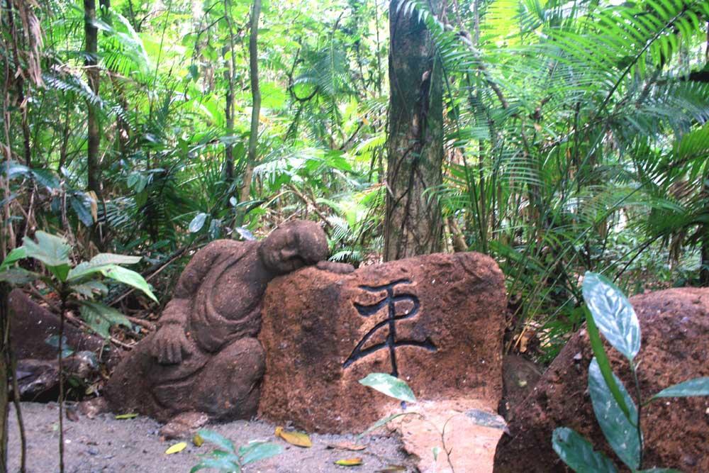 Rainforest Hideaway Кейп-Трибьюлейшн Экстерьер фото