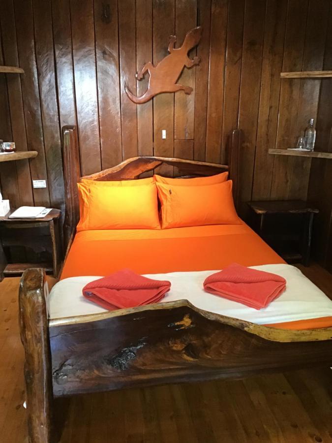 Rainforest Hideaway Кейп-Трибьюлейшн Экстерьер фото
