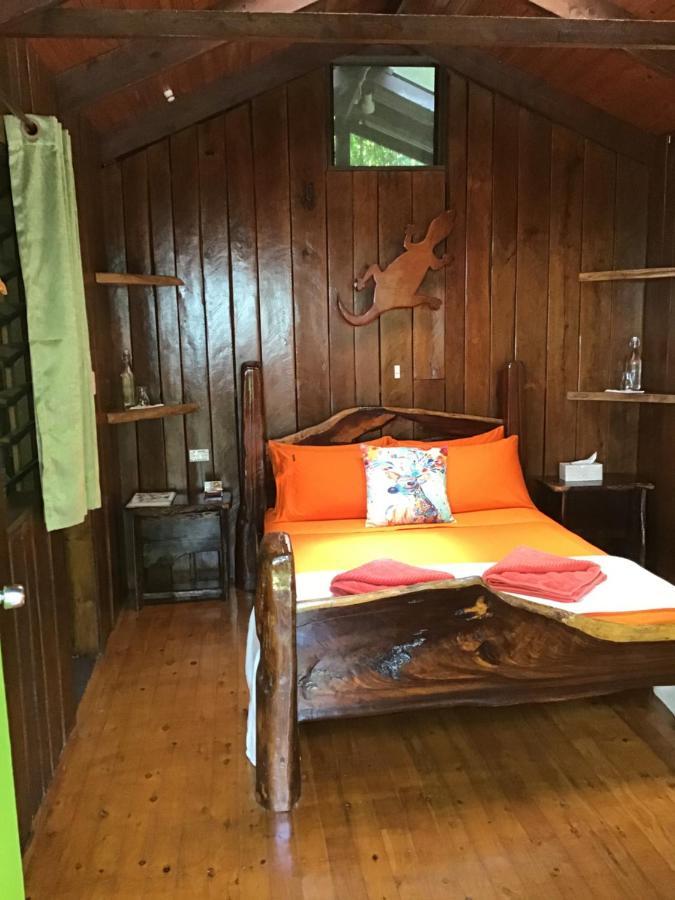 Rainforest Hideaway Кейп-Трибьюлейшн Экстерьер фото